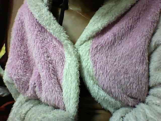 seths webcam