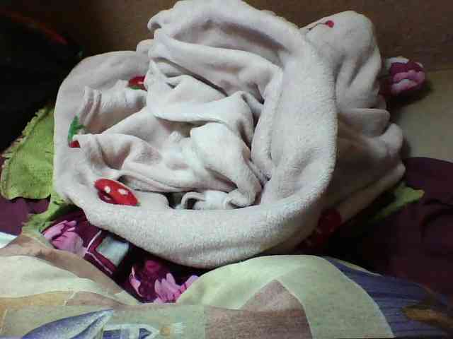 seths webcam