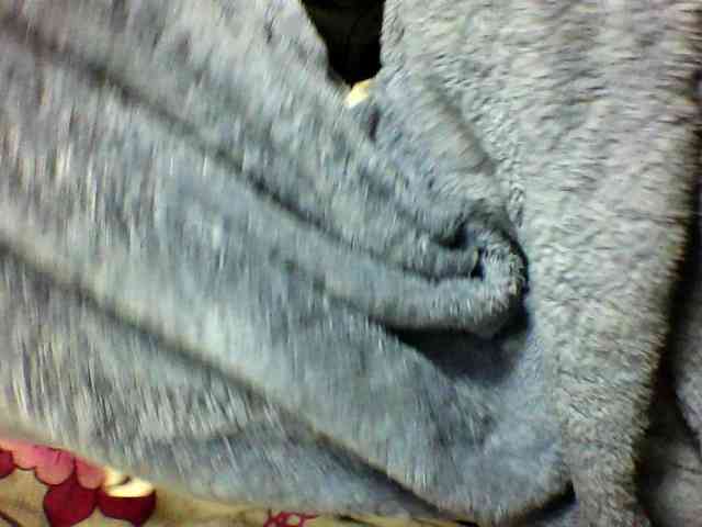 seths webcam