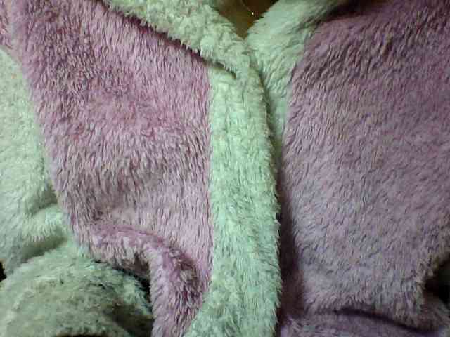 seths webcam