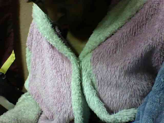 seths webcam