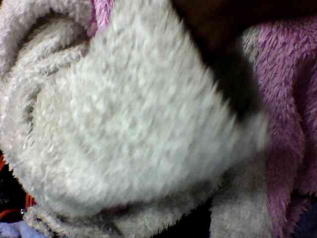 seths webcam