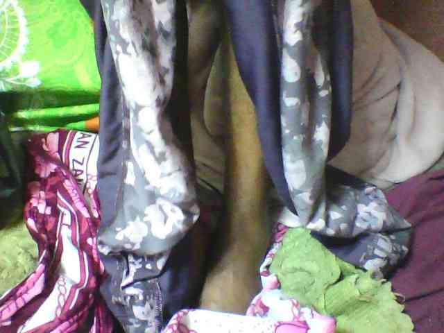 seths webcam