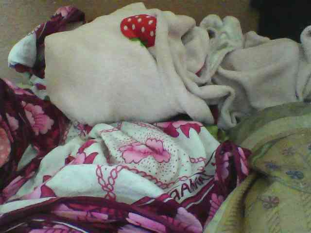 seths webcam