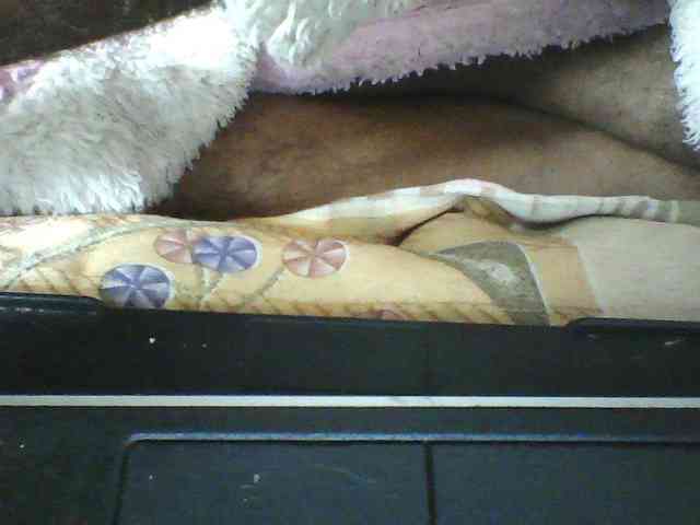 seths webcam