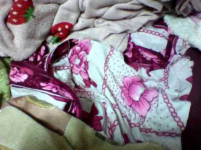 seths webcam