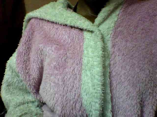 seths webcam