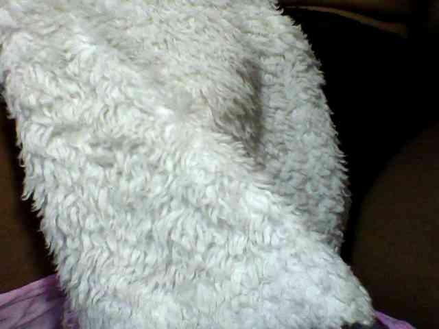 seths webcam