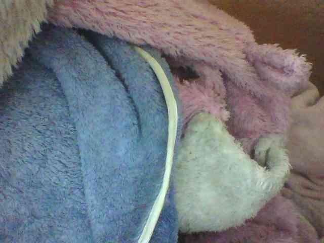 seths webcam