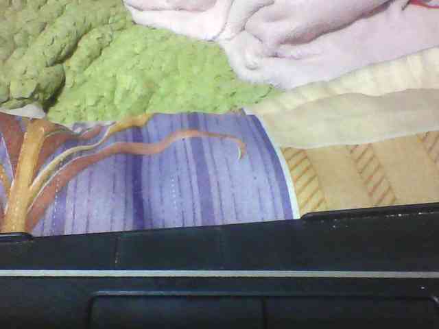 seths webcam