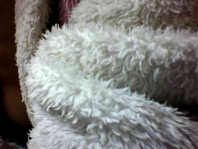 seths webcam
