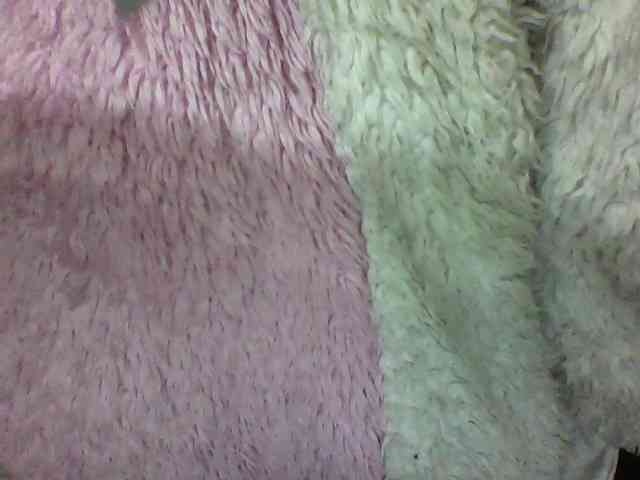 seths webcam