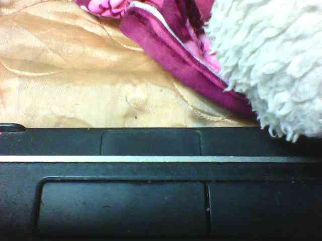seths webcam
