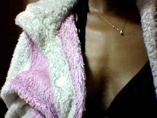seths webcam