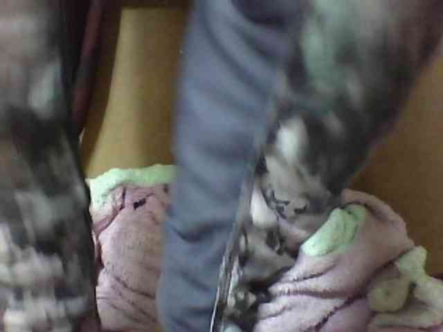 seths webcam