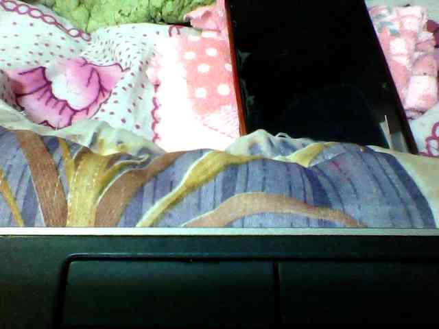 seths webcam