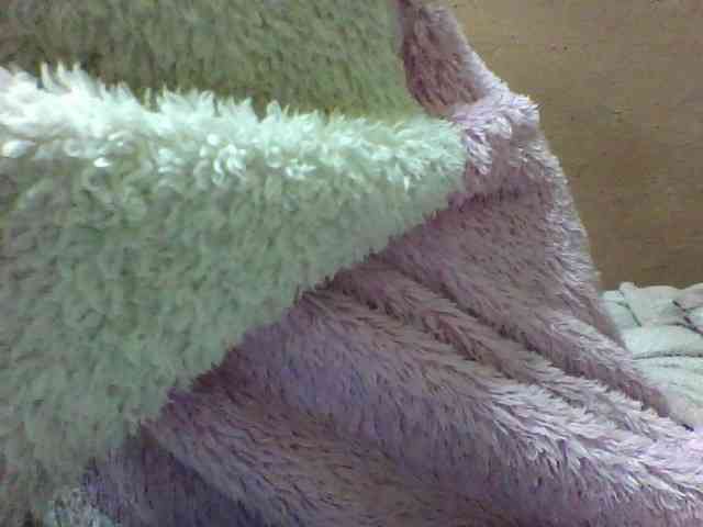 seths webcam