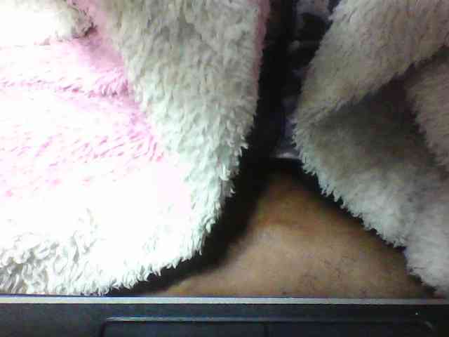 seths webcam