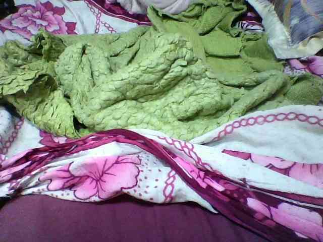 seths webcam