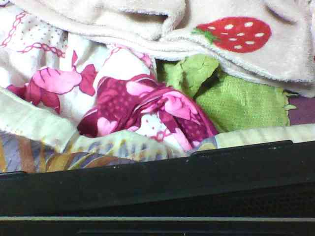 seths webcam