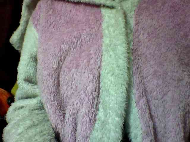 seths webcam