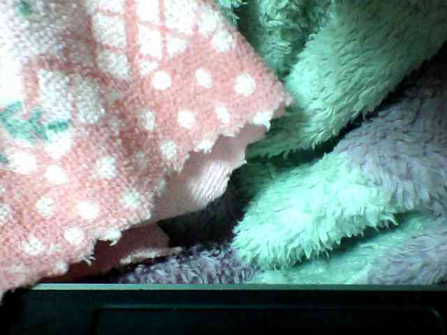 seths webcam