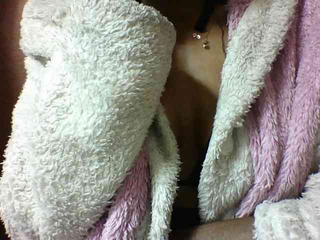 seths webcam