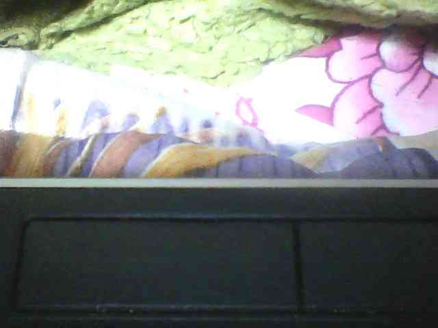 seths webcam