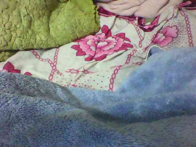 seths webcam