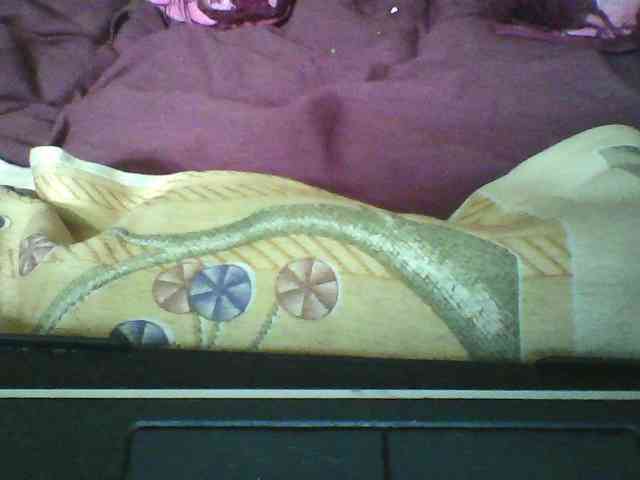 seths webcam