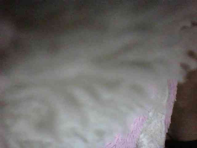 seths webcam