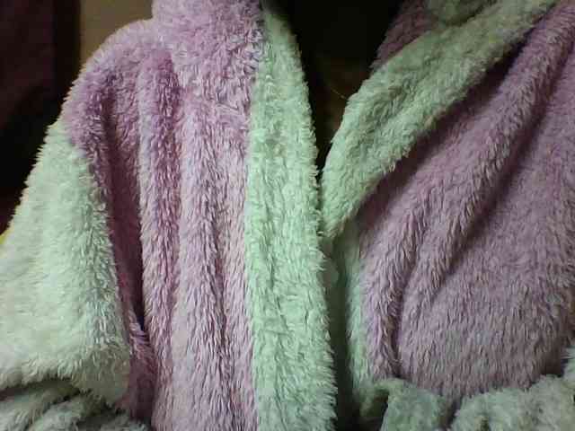 seths webcam