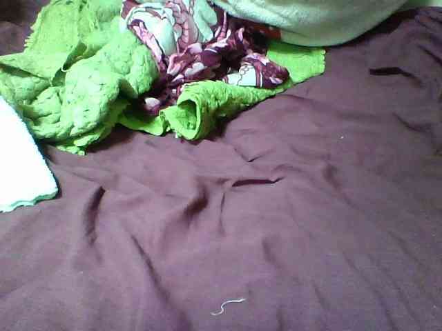 seths webcam