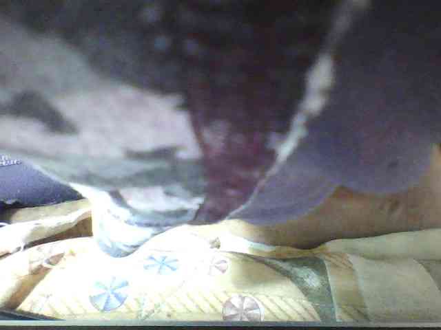 seths webcam