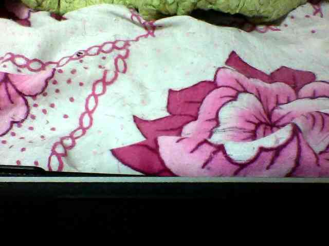 seths webcam