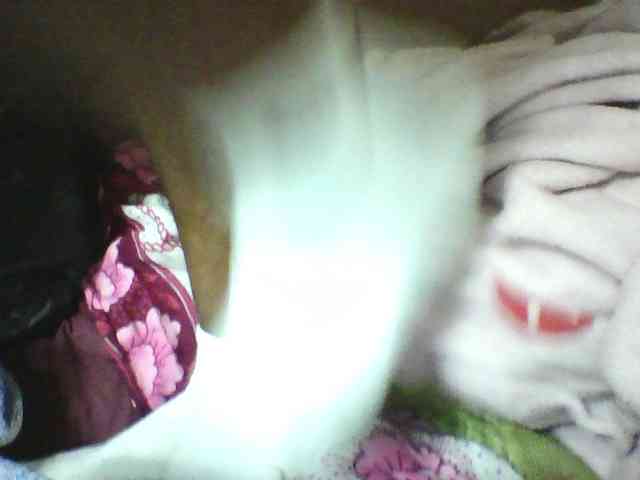 seths webcam