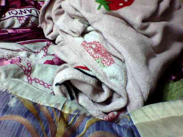 seths webcam