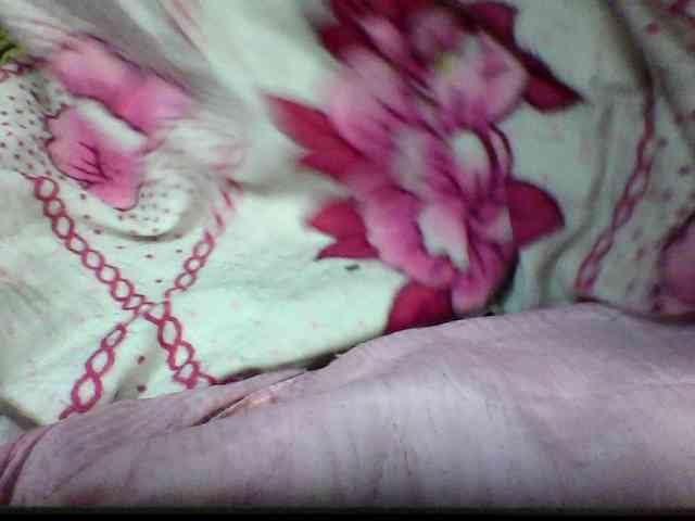 seths webcam