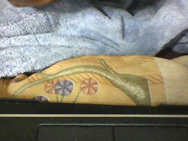 seths webcam