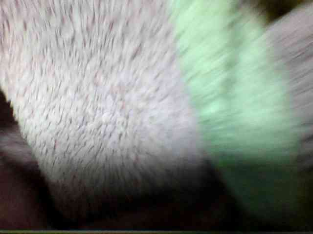 seths webcam