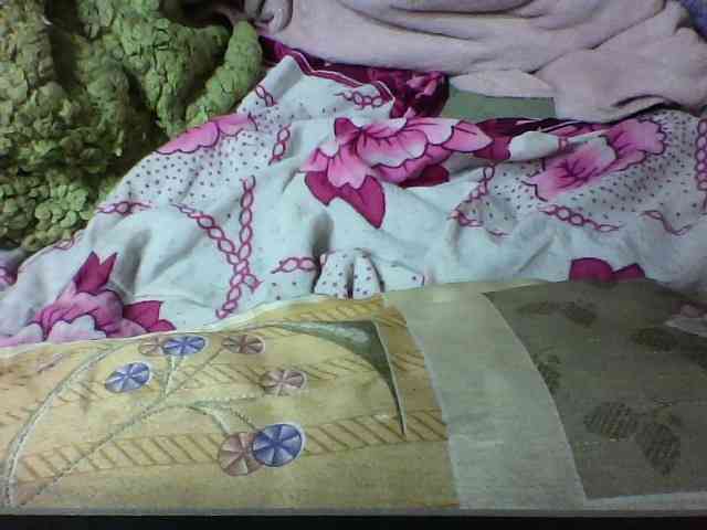 seths webcam