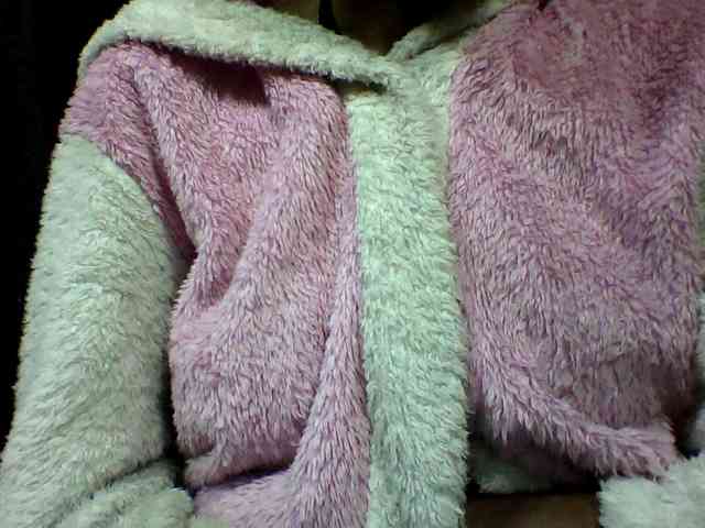 seths webcam