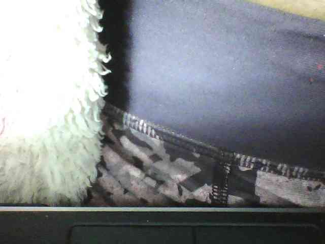 seths webcam