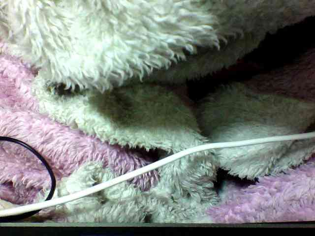 seths webcam