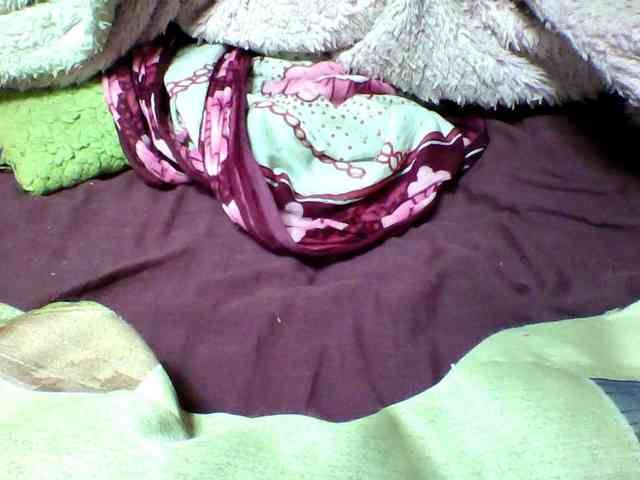 seths webcam