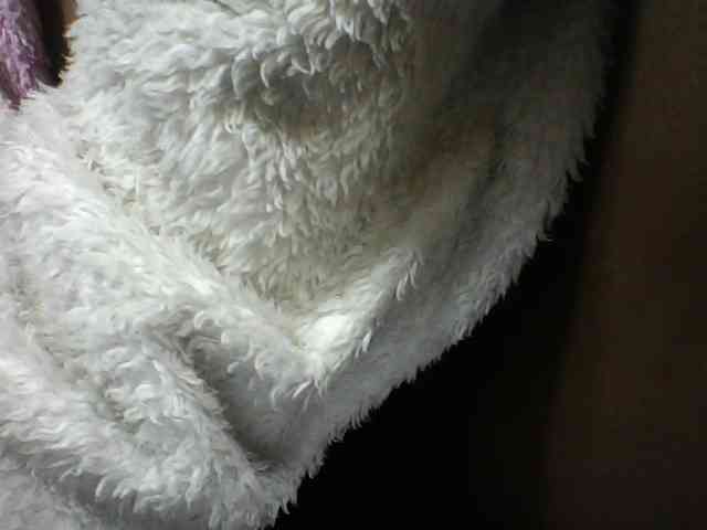 seths webcam
