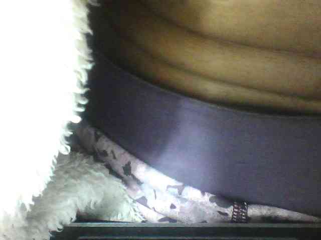 seths webcam