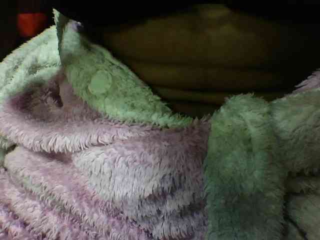 seths webcam