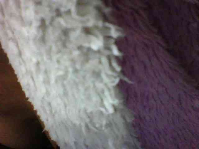 seths webcam