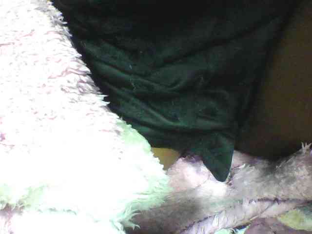 seths webcam